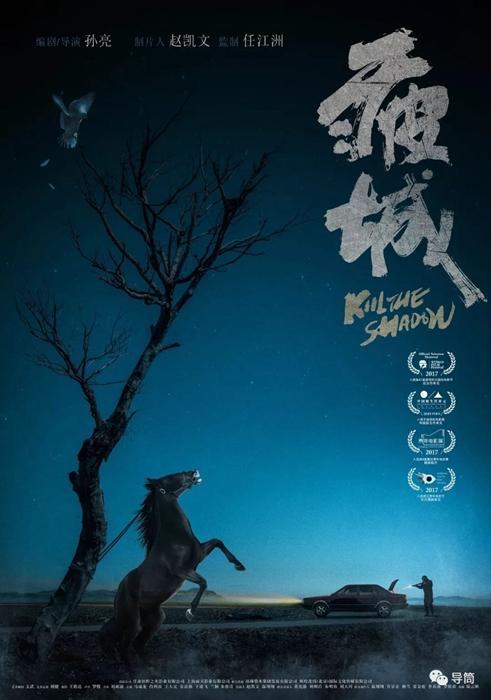 罗马San Pio V自由大学硕士证书